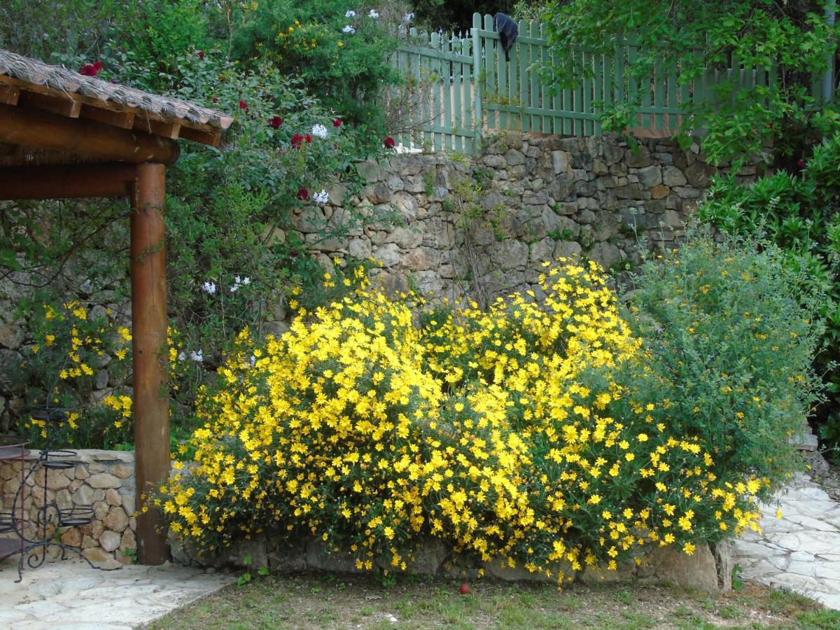 Bed and Breakfast Mas Des Citronniers Le Tignet Exterior foto